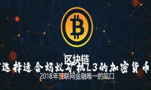 如何选择适合蚂蚁矿机L3的加密货币钱包