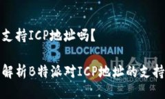 特派支持ICP地址吗？全面解析B特派对ICP地址的支