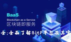 BitP网址大全：全面了解BitP平台及其官方下载链接