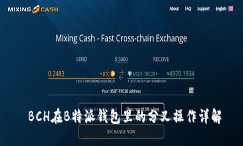  BCH在B特派钱包里的分叉操作详解