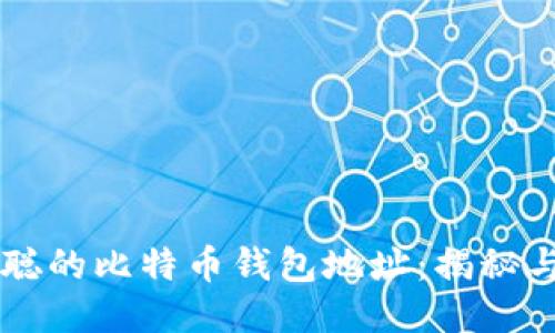 中本聪的比特币钱包地址：揭秘与探索