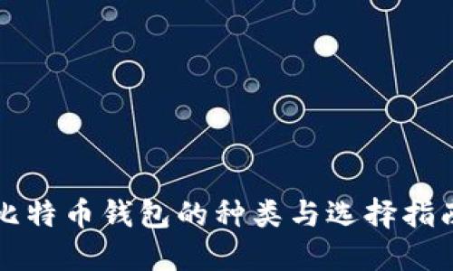 比特币钱包的种类与选择指南