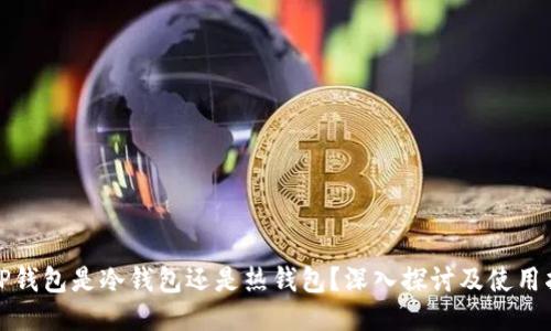 BitP钱包是冷钱包还是热钱包？深入探讨及使用指南