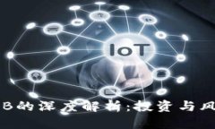 虚拟币B的深度解析：投资与风险分析