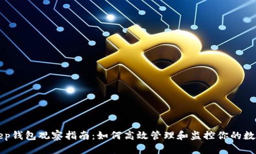 Bitkeep钱包观察指南：如何高效管理和监控你的数字资产