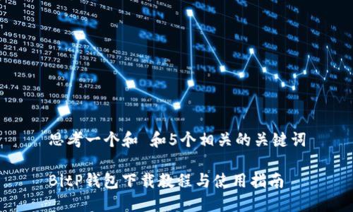 思考一个和 和5个相关的关键词

BitP钱包下载教程与使用指南