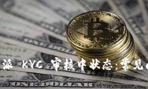 如何处理 B 特派 KYC 审核中状态：常见问题及解决方案