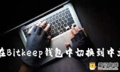 如何在Bitkeep钱包中切换到中文界面