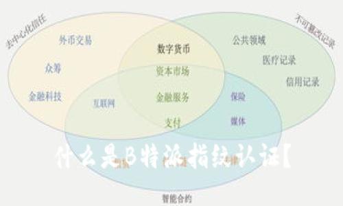 什么是B特派指纹认证？