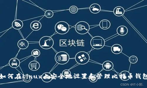 如何在Linux上安全地设置和管理比特币钱包
