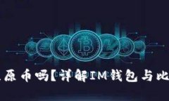 IM钱包支持比原币吗？详解IM钱包与比原币的兼容