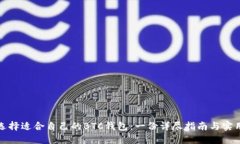 如何选择适合自己的BTC钱包：一份详尽指南与实