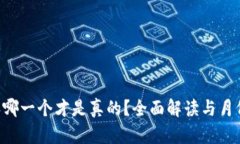 B特派哪一个才是真的？全面解读与月份分析