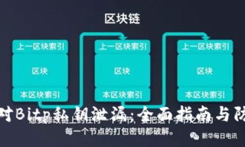如何应对Bitp私钥泄漏：全面指南与防护措施