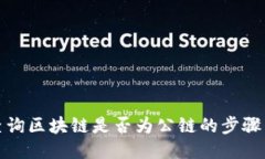 如何查询区块链是否为公链的步骤与技巧