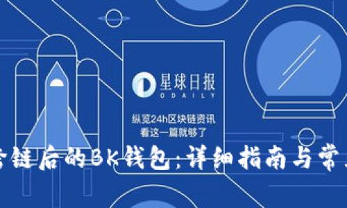 如何打开跨链后的BK钱包：详细指南与常见问题解答