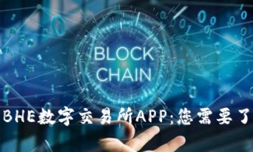 全面解析BHE数字交易所APP：您需要了解的一切