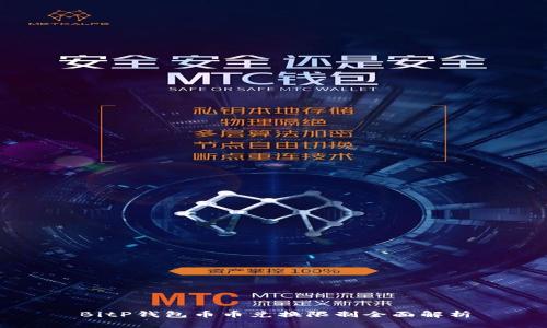 BitP钱包币币兑换限制全面解析