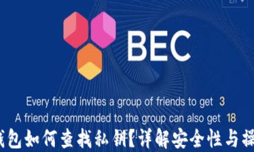 
b特派钱包如何查找私钥？详解安全性与操作步骤