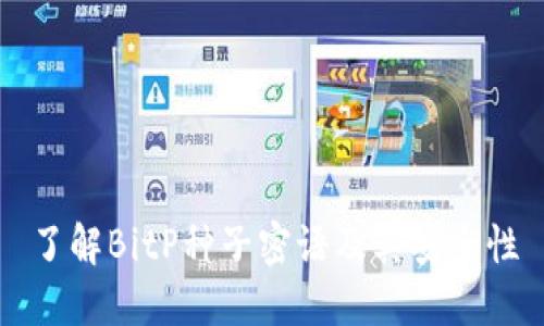 了解BitP种子密语及其安全性