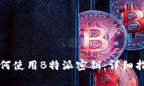 如何使用B特派密钥：详细指南
