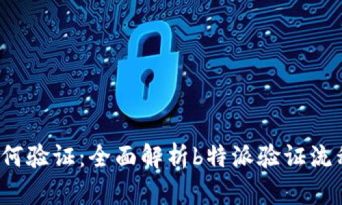 b特派如何验证：全面解析b特派验证流程及技巧