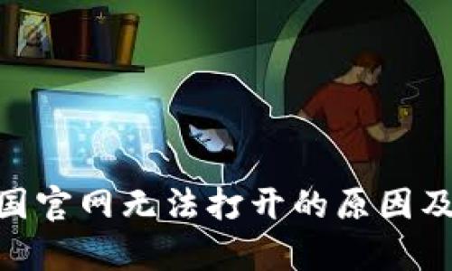 Bitpie中国官网无法打开的原因及解决方案