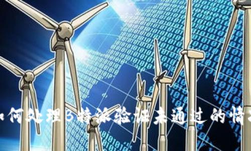 如何处理B特派验证未通过的情况