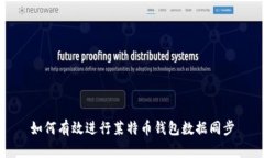 如何有效进行莱特币钱包数据同步