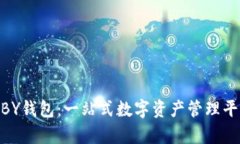 riaotiBY钱包：一站式数字资产管理平台解析