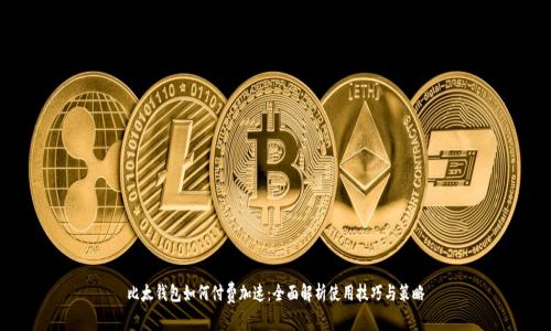 比太钱包如何付费加速：全面解析使用技巧与策略