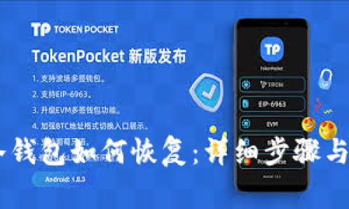 biasoti冷钱包如何恢复：详细步骤与注意事项