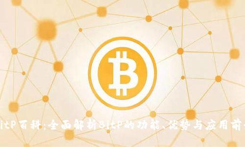 BitP百科：全面解析BitP的功能、优势与应用前景