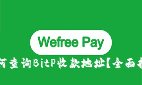 如何查询BitP收款地址？全面指南