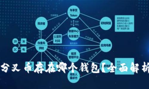 比特币分叉币存在哪个钱包？全面解析与推荐