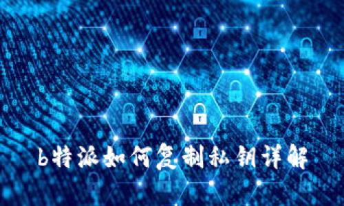 b特派如何复制私钥详解