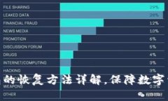 硬件钱包的恢复方法详解，保障数字资产安全
