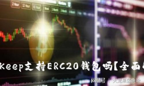 BitKeep支持ERC20钱包吗？全面解析