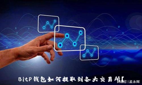   
BitP钱包如何提取到各大交易所？