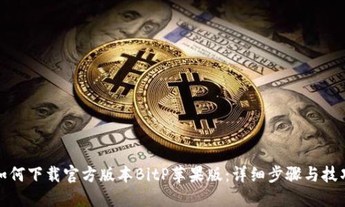 如何下载官方版本BitP苹果版：详细步骤与技巧