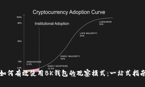 如何有效使用BK钱包的观察模式：一站式指南