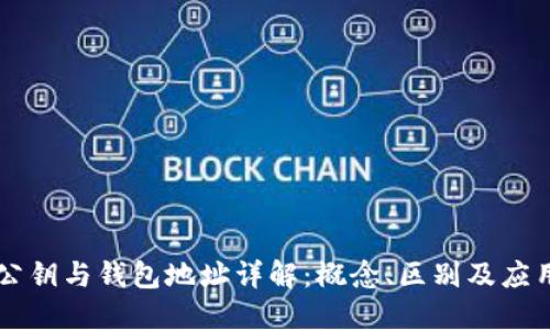公钥与钱包地址详解：概念、区别及应用