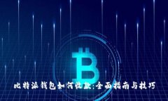 比特派钱包如何收款：全面指南与技巧