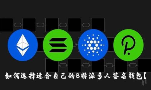 如何选择适合自己的B特派多人签名钱包？