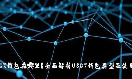 : USDT钱包在哪里？全面解析USDT钱包类型及使用指南
