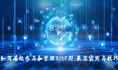 如何有效参与和管理BitP群：最佳实践与技巧