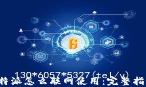 
b特派怎么联网使用：完整指南