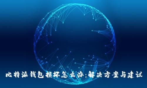 比特派钱包损坏怎么办：解决方案与建议