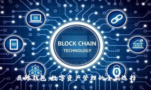 巨鲸钱包：数字资产管理的全新选择