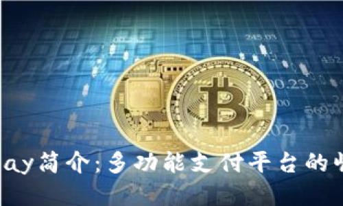 Gopay简介：多功能支付平台的崛起